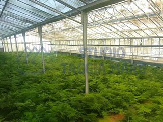 Terreno agricolo in Vendita a Taggia, 120'000€, 3026 m²