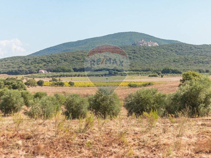 Terreno agricolo in Vendita a Capalbio, 130'000€, 43824 m²