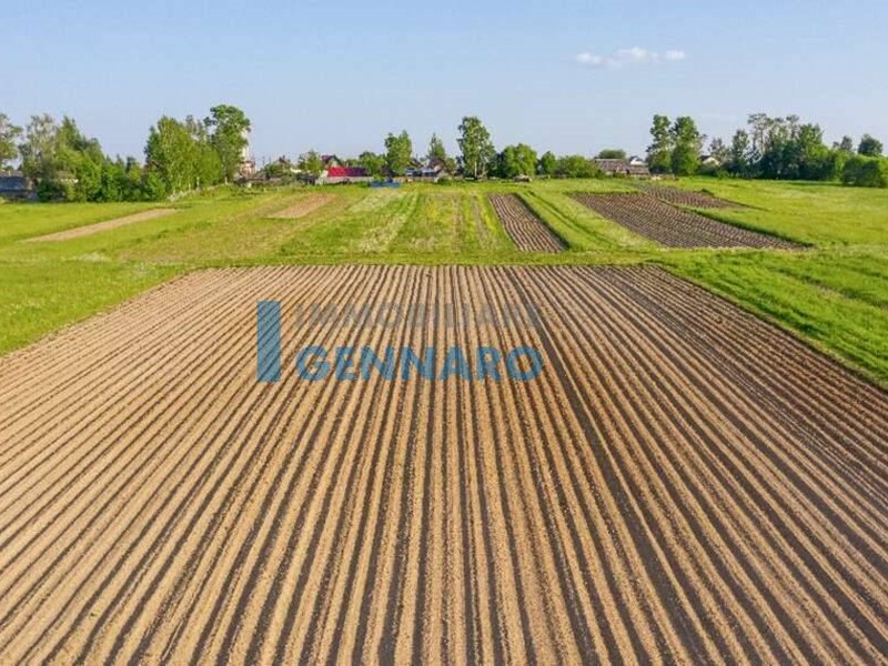 Terreno agricolo in Vendita a Visco, 100'000€, 38966 m²