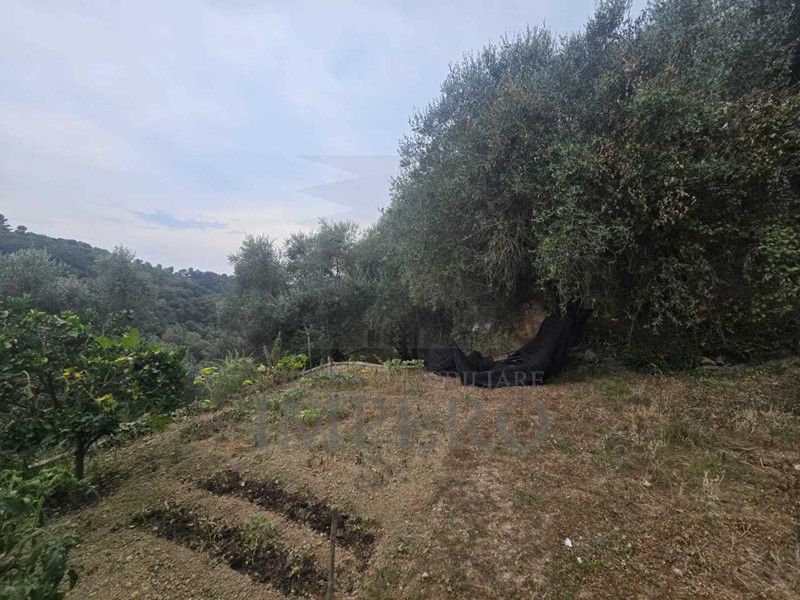 Casa Indipendente in Vendita a Dolceacqua, 60'000€, 20 m²