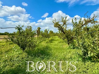 Terreno agricolo in Vendita a Trentola Ducenta, 50'000€, 3210 m²