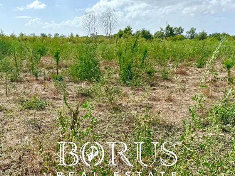 Terreno agricolo in Vendita a Trentola Ducenta, 130'000€, 6000 m²