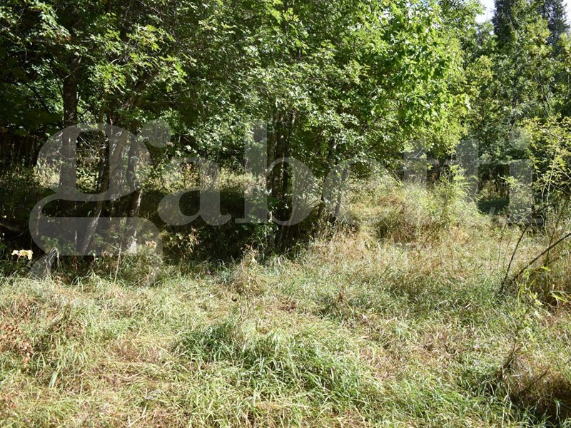 Terreno agricolo in Vendita a Bardonecchia, 7'000€, 1403 m²