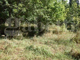 Terreno agricolo in Vendita a Bardonecchia, 7'000€, 1403 m²