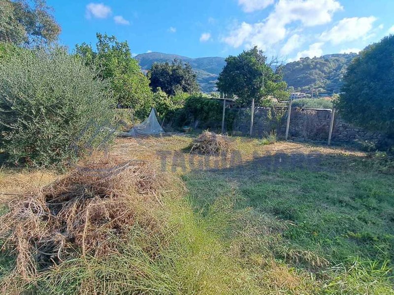 Terreno agricolo in Vendita a Taggia, 59'000€, 2060 m²