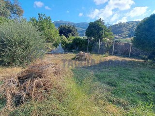 Terreno agricolo in Vendita a Taggia, 59'000€, 2060 m²