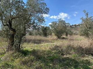 Terreno agricolo in Vendita a Rocchetta a Volturno, 13'500€, 6730 m²