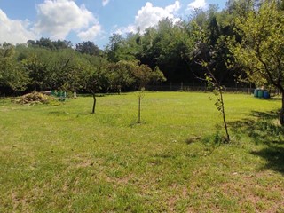 Terreno agricolo in Vendita a Fauglia, 25'000€, 2000 m²