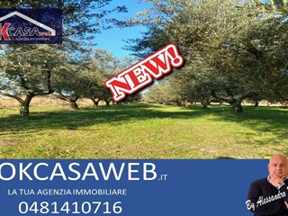 Terreno agricolo in Vendita a Staranzano, 32'000€, 2000 m²