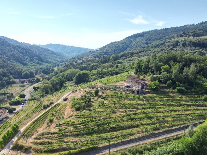 Casale in Vendita a Lucca, 1'300'000&euro;, 400 m²