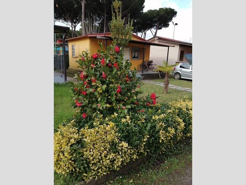 Casa Indipendente in Vendita a Massa, 69'000&euro;, 34 m², arredato