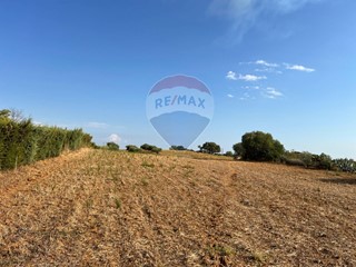 Terreno agricolo in Vendita a Caltagirone, 24'000€, 19730 m²