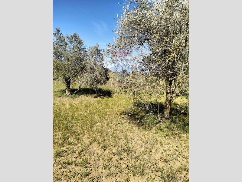 Terreno agricolo in Vendita a Caltagirone, 13'000€, 10000 m²