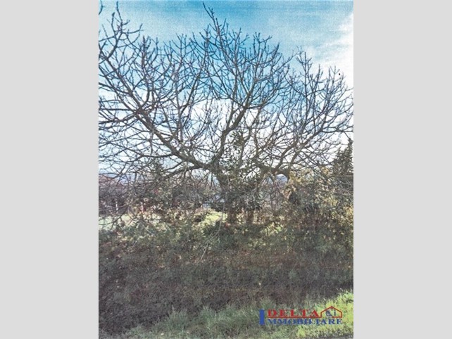 Terreno edificabile in Vendita a Cecina, 28'000€, 1500 m²