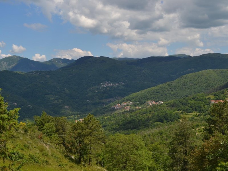 Appartamento in Vendita a Carro, zona Ziona, 115'000€, 275 m², arredato