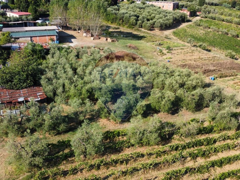 Terreno agricolo in Vendita a Vinci, 130'000€, 20000 m²