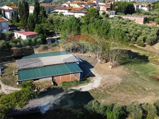 Terreno agricolo in Vendita a Vinci, 130'000€, 20000 m²
