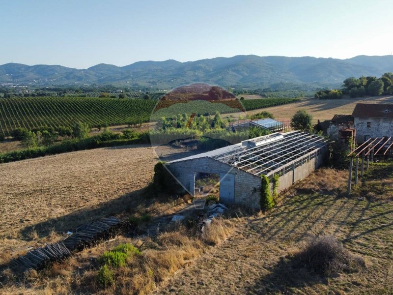 Terreno agricolo in Vendita a Vinci, 360'000€, 15000 m²