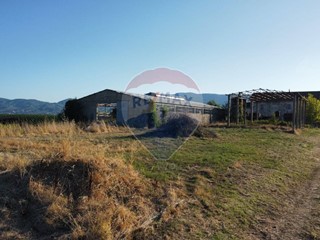 Terreno agricolo in Vendita a Vinci, 360'000€, 15000 m²