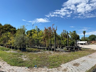 Attività commerciale in Vendita a Colceresa, 680'000&euro;, 30000 m²