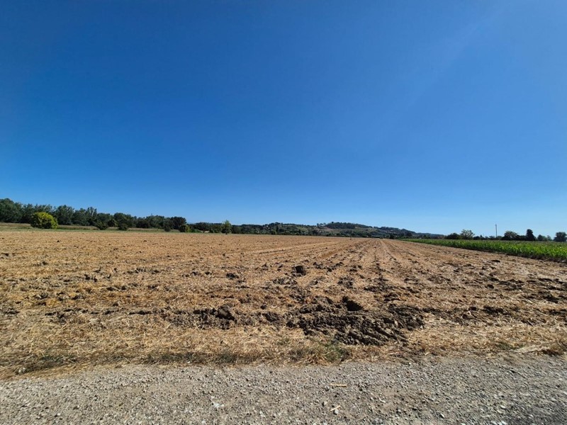 Terreno agricolo in Vendita a Fucecchio, 50'000€, 1500 m²