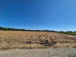 Terreno agricolo in Vendita a Fucecchio, 50'000€, 1500 m²