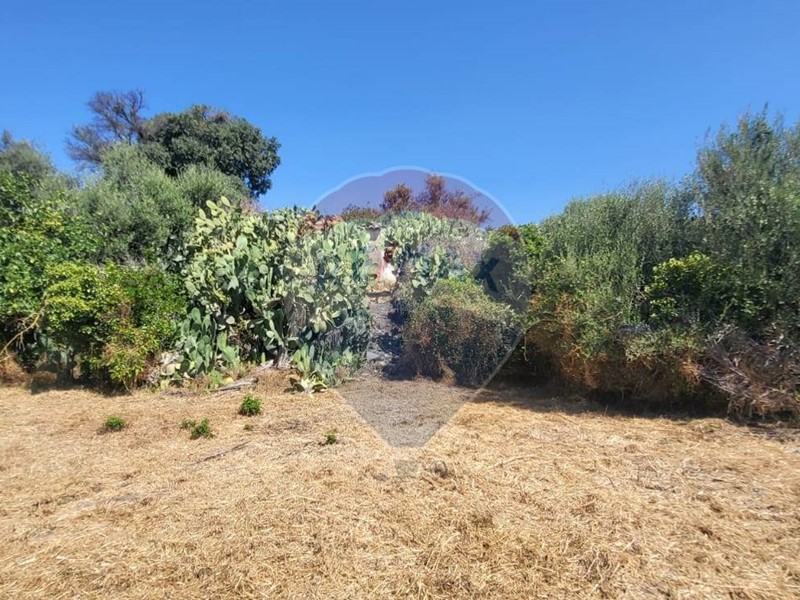Terreno edificabile in Vendita a Paternò, 690'000€, 8000 m²