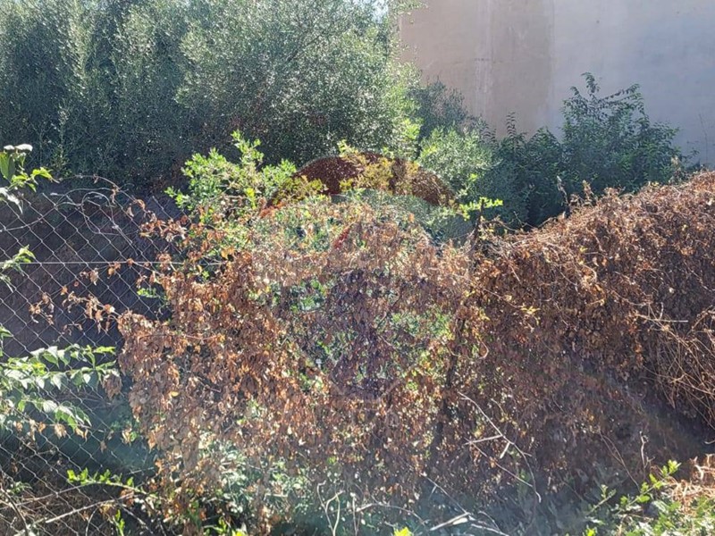 Terreno edificabile in Vendita a Paternò, 49'000€, 450 m²