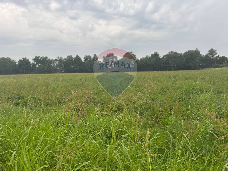 Terreno agricolo in Vendita a Cologno al Serio, 23500 m²