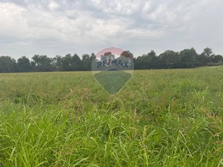 Terreno agricolo in Vendita a Cologno al Serio, 23500 m²