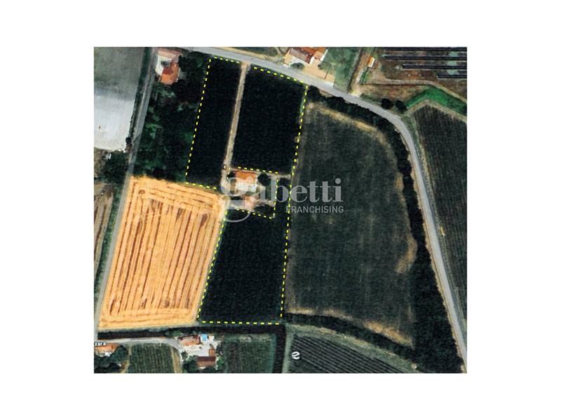 Terreno agricolo in Vendita a Conselve, 84'000€, 15503 m²