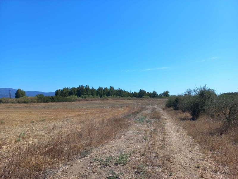 Terreno agricolo in Vendita a Villamassargia, 22'245€, 7415 m²