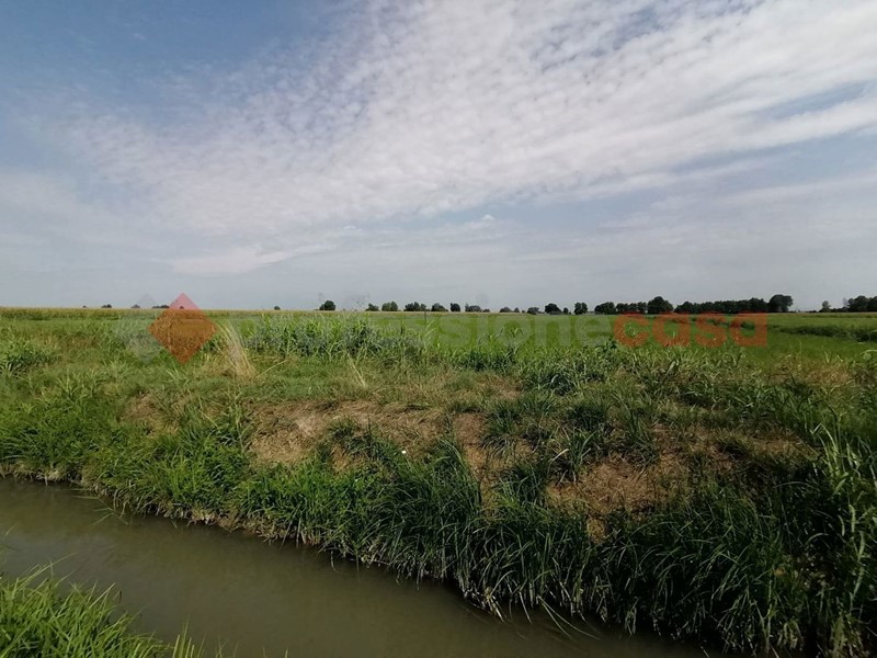 Terreno agricolo in Vendita a Casaleone, 126'000€, 26930 m²