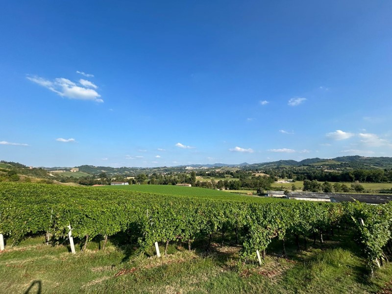 Casa Semi Indipendente in Vendita a Valsamoggia, zona Monteveglio, 265'000€, 340 m², con Box