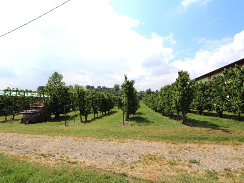 Casa Semi Indipendente in Vendita a Valsamoggia, zona Crespellano, 515'000€, 43000 m²