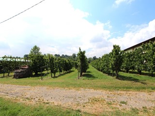 Casa Semi Indipendente in Vendita a Valsamoggia, zona Crespellano, 515'000€, 43000 m²