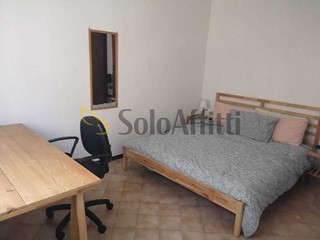 Stanza in Affitto a Siena, zona San Miniato, 375€, 15 m², arredato