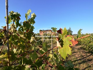 Casa di corte in Vendita a Montecarlo, 250'000€, 200 m²