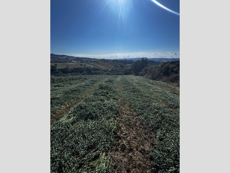 Terreno agricolo in Vendita a Montegiorgio, 460'000€, 179000 m²