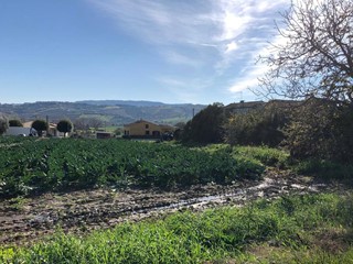 Terreno edificabile in Vendita a Roseto degli Abruzzi, 120'000&euro;, 5890 m²