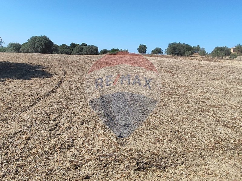 Terreno agricolo in Vendita a Caltagirone, 8'000€, 6089 m²