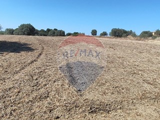 Terreno agricolo in Vendita a Caltagirone, 8'000€, 6089 m²