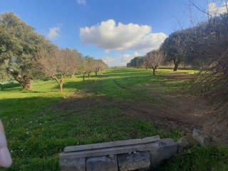 Terreno industriale in Vendita a Crispiano, zona San Simone, 38'000€, 6622 m²