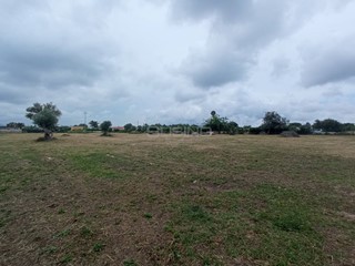 Terreno agricolo in Vendita a Siracusa, 18'000€, 9850 m²