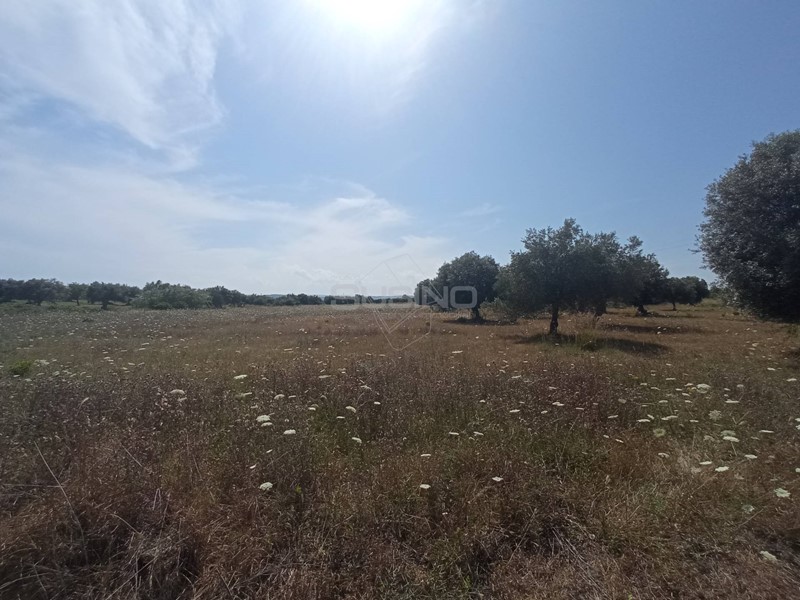 Terreno agricolo in Vendita a Siracusa, 83'000€, 32250 m²