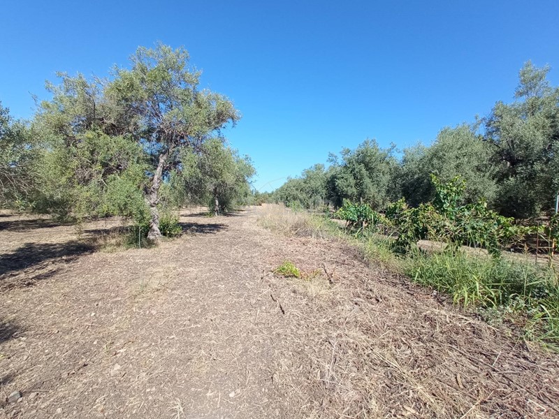Terreno agricolo in Vendita a Siracusa, 24'000€, 3954 m²