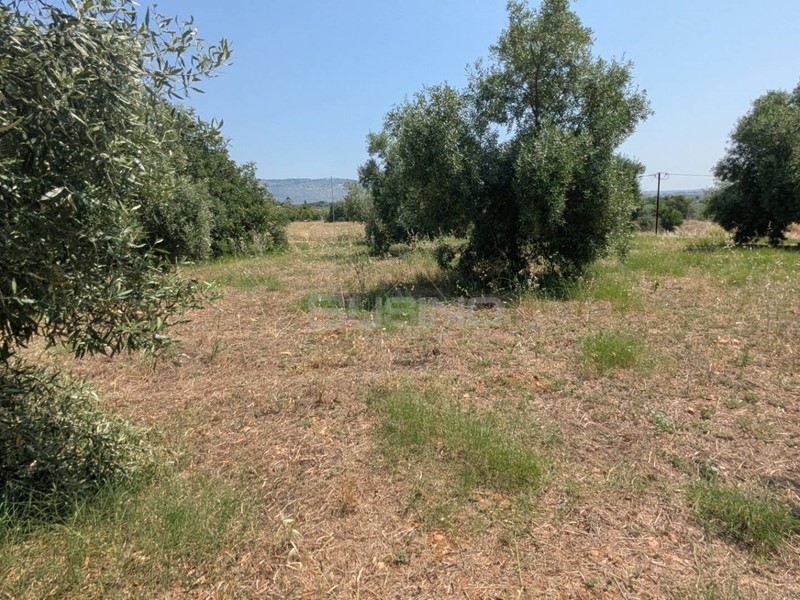 Terreno agricolo in Vendita a Floridia, 48'000€, 14000 m²