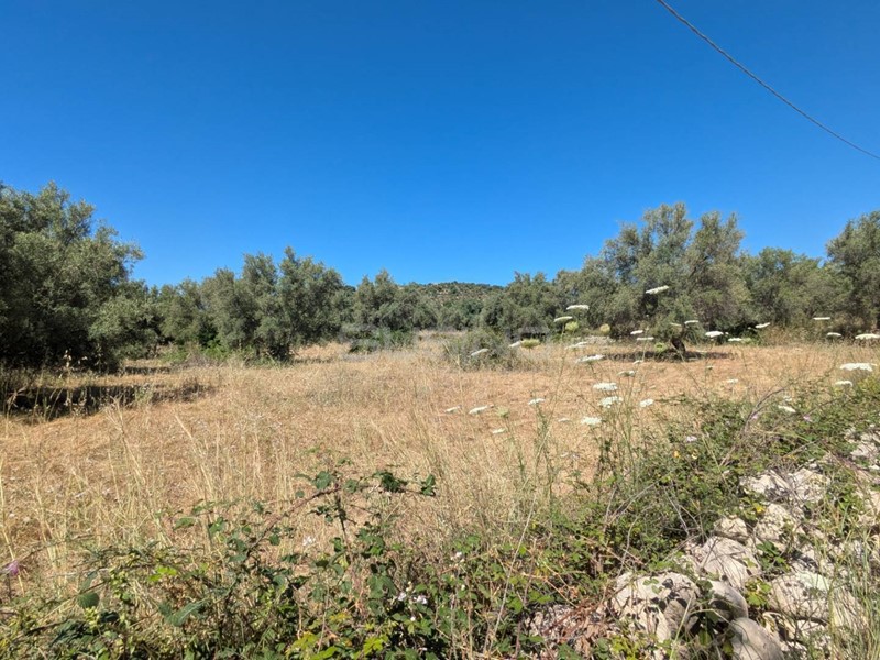 Terreno agricolo in Vendita a Avola, 95'000€, 34310 m²