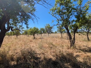 Terreno agricolo in Vendita a Avola, 95'000€, 34310 m²