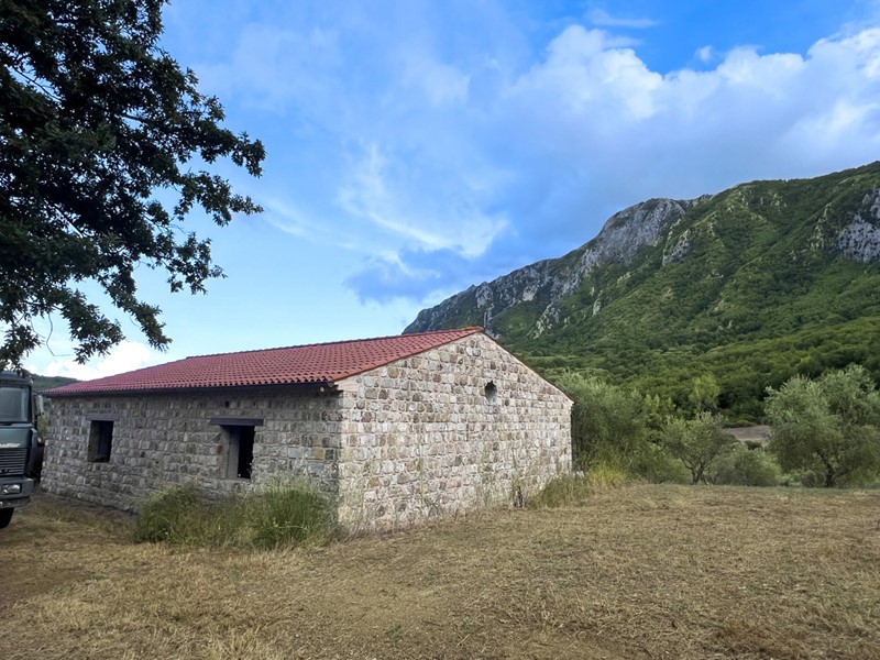 Terreno agricolo in Vendita a Celle di Bulgheria, 400'000&euro;, 47941 m²